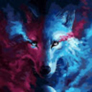 Meet your Posher, Kolby